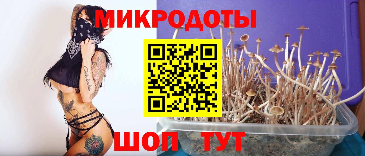 Псилоцибиновые грибы прущие грибы  Вход с VPN  Зеленокумск 